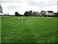 Enjoy  the  view  this  field  has  planning  permission