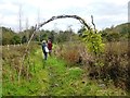 Entrance to Food Forest area at Wishtree Permaculture Centre