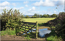SE4488 : Field beyond open gate by Trevor Littlewood