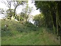 Ditch at Cadbury Castle hill fort