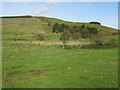 Girdle Stanes Stone Circle