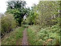 The Maun Valley Trail 