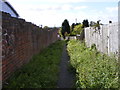 Dudley Fields Path Scene