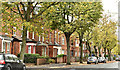 University Avenue, Belfast (October 2017)