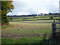 Country east of Hempton Lodge Farm