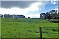 Uneven hillside south of Hastingleigh