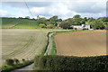 Lane towards Great Holt Farm