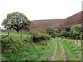 Llwybr Ceffyl Brynieuau / Brynieiau Bridleway