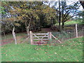 Llwybr Ceffyl Comin Coch / Comin Coch Bridleway