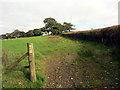 Cyffordd o lwybrau ceffyl / A junction of bridleways