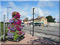 Flowers in Dedworth Road