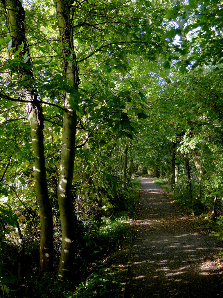 Footpath in Fradley Pool Nature Reserve,... © Roger Kidd :: Geograph ...