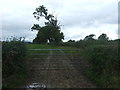 Gated farm track, Birchwood Bower