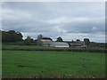 Fields towards Forest Gate Farm