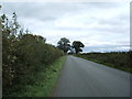 Forest Road towards Hanbury