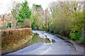 Puddle on Pikes Lane