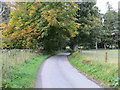 Road between Woodside and Butend