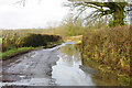 Puddles on Park Road