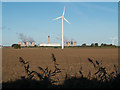 Earthen field with wind turbine