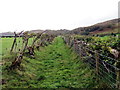 Llwybr Ceffyl ger Glandulas / Bridleway near Glandulas