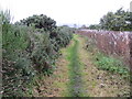 Footpath between the River Forth and Ferry Road at South Alloa