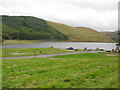 NT2320 : Loch of the Lowes, Scottish Borders by G Laird