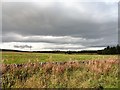 View west from the A68 north of Kiln Pit Hill