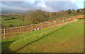 Farmland near Druid