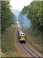 Deltic gala; Bluebell Railway