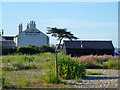 The Zetland Arms, Kingsdown