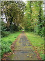 Conker Lane from Four Ashes Road