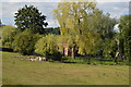 Pumping station in trees