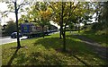 Trees and path near the Aldi store