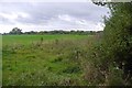 SJ4817 : Field near Bomere Heath by Richard Webb
