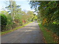 Indians Road at Balfron Station