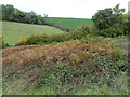 View from Footpath to Broomfield Farm