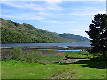 NN2702 : The Croe Water meets Loch Long by Richard Webb