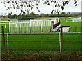 Cheltenham Racecourse - Water jump