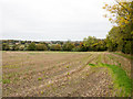 Edge of stubble field near Thurston Hall