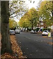 Garland Crescent in Leicester