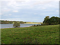 SK8907 : Rutland Water and a patch of sunlight by John Sutton