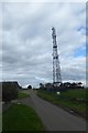 Cleave Dyke Police Mast