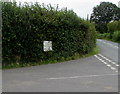 SO3717 : Old-style directions sign in a Caggle Street hedge, Monmouthshire by Jaggery