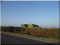 Cardington hangars