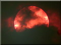 SJ3764 : Red sun effect above Saltney by John S Turner