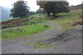 Track, Cruglwyn