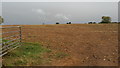 Field and sky