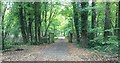 Entrance to Wilding Wood Farm