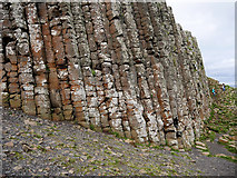 C9444 : Basalt Columns, The Giant's Causeway by David Dixon