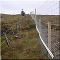 NO0206 : Fences, Mellock Hill by Richard Webb